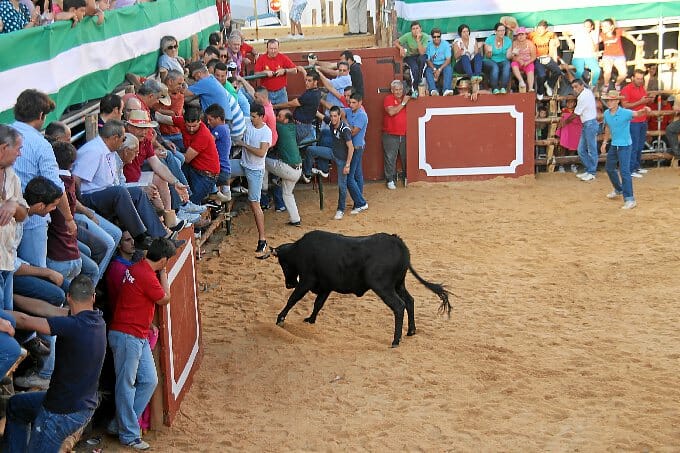 capeas en leon - Capea a 3 Km de León