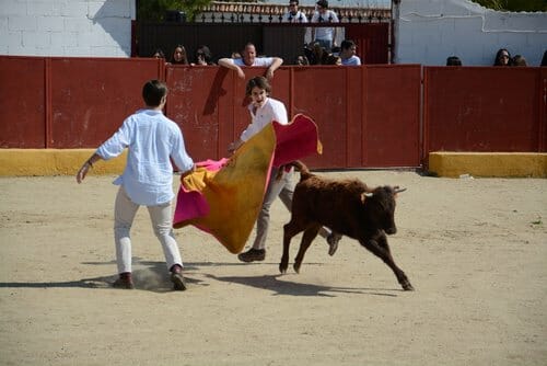 capeas04 20160115174125 - Capeas en Oviedo