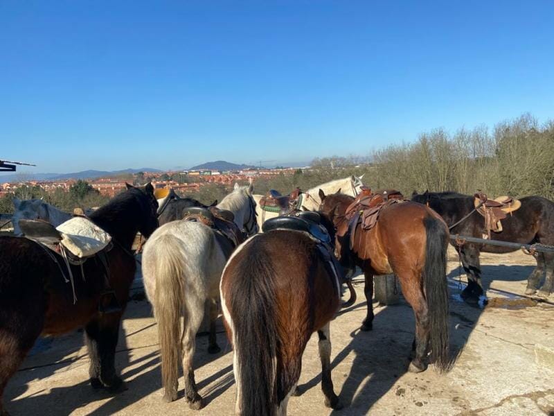 rutas a caballo 12 - Rutas a caballo en Gijón
