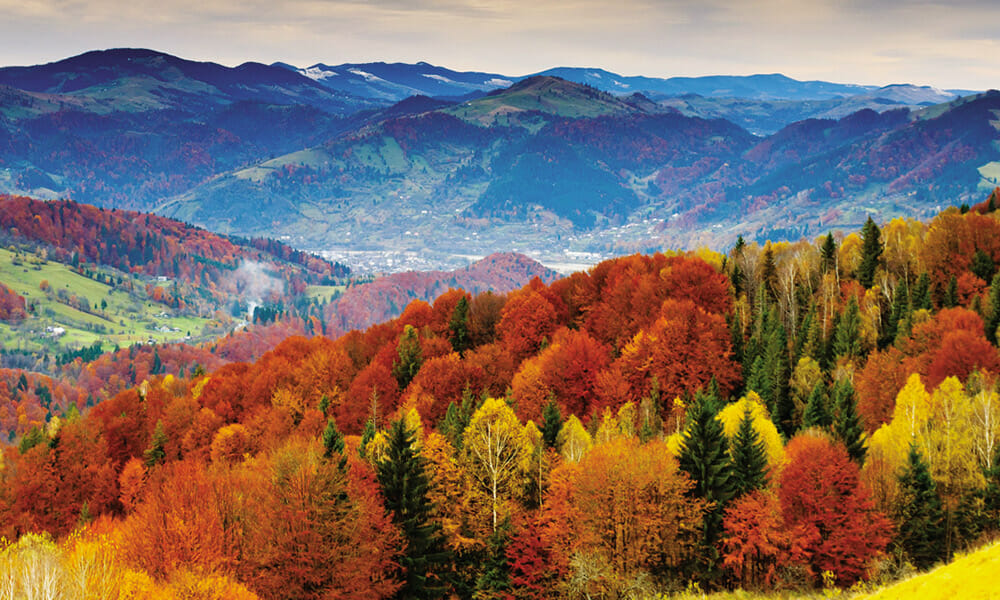 Un Otoño ideal para despedidas