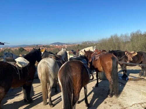 rutas a caballo cangas de onis