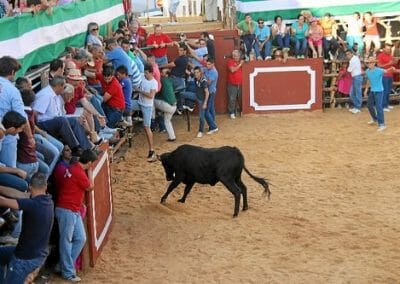 capea arriondas 1 - Capeas en Arriondas / Cangas de Onís