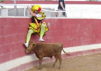 capea arriondas 2 - Capeas en Arriondas / Cangas de Onís