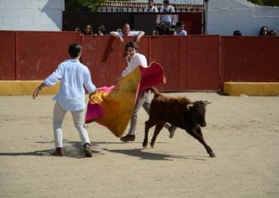 capea arriondas 4 - Capeas en Llanes