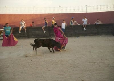 capea madrid 2 - Capeas en Segovia