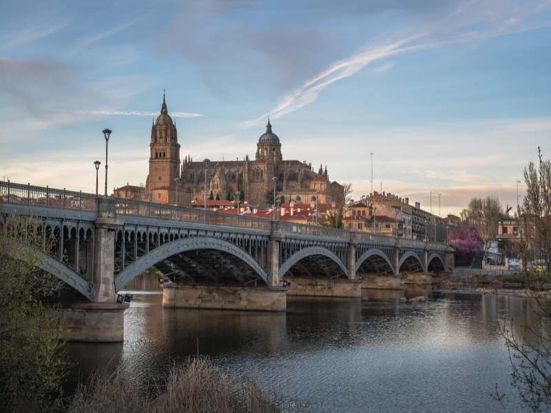 Despedidas Salamanca