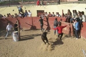 capea en asturias thumb - Actividades para despedidas en Asturias