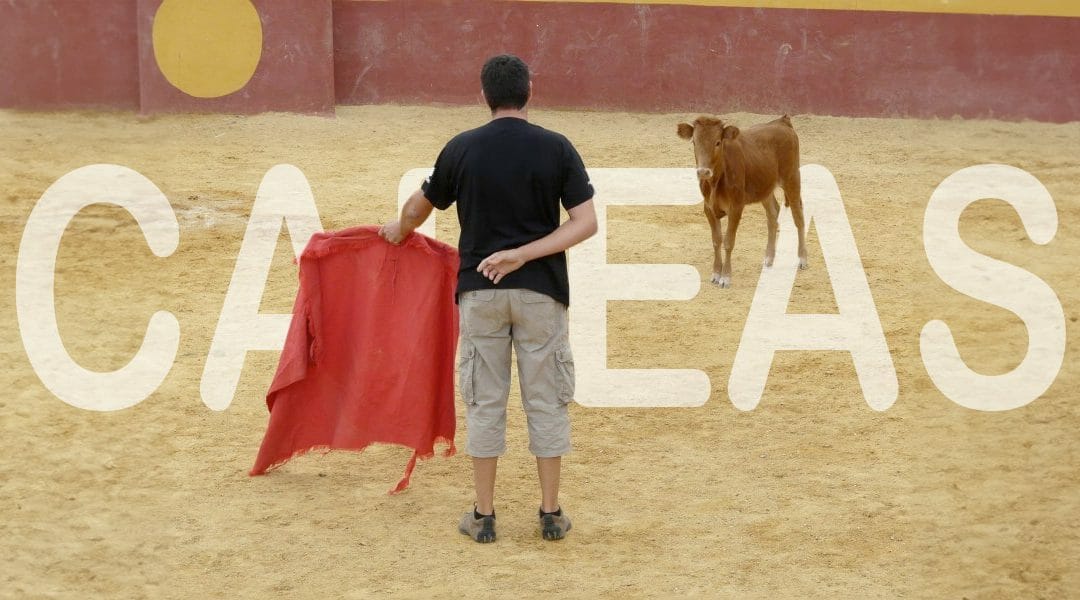 Capeas en Salamanca: ¡Emoción taurina para tu Despedida en la ciudad!