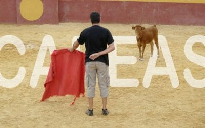 Capeas en Salamanca: ¡Emoción taurina para tu Despedida en la ciudad!