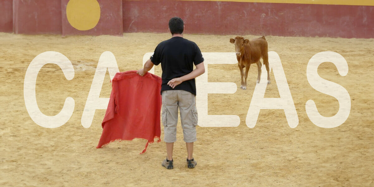 capeas en salamanca tradición