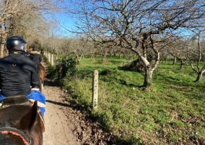 Jinetes con casco por un camino entre árboles en la ruta a caballo cerca de Gijón