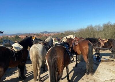 Grupo de caballos ensillados listos para empezar la ruta a caballo en Gijón
